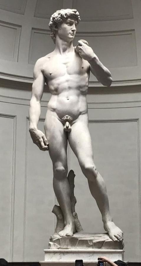 Apartament Dependace Il David Di Michelangelo Florencja Zewnętrze zdjęcie